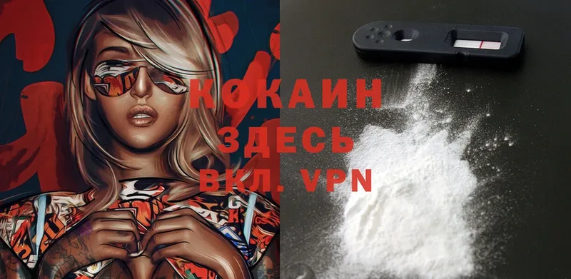 Cocaine Эквадор  где продают наркотики  Велиж 